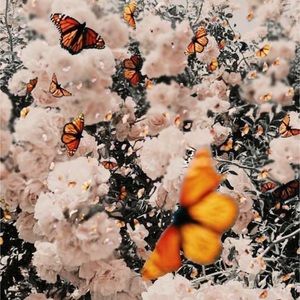 Meet your Posher, Taryn